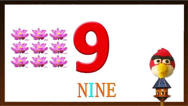 Learn Numbers with spellings 1 to 50 for children, kids& Toddlers | Counting Numbers 1 to 50