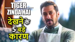 Salman Khan की फिल्म Tiger Zinda Hai देखने के 5 बड़े कारण, जो आपको मजबूर कर देंगे