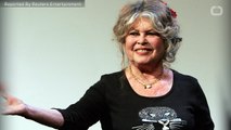 Brigitte Bardot Claims Actresses Complain About Harassment To Get Attention
