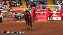 Cowboy RODEO! Riding Bulls n' Horses   Sheep at Fort Worth Stockyards Ou