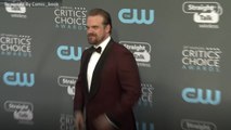 Did David Harbour Agree to Officiate A Wedding?