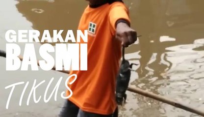Tangkap Seekor Tikus di Jakarta Dibayar Rp20 Ribu