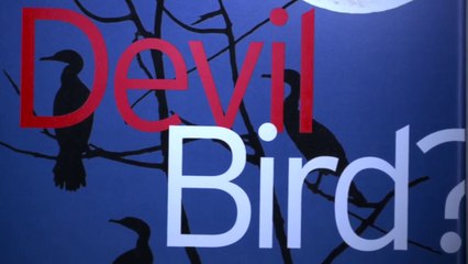 Voice of the Night - The Devil Bird of Sri Lanka (2017)