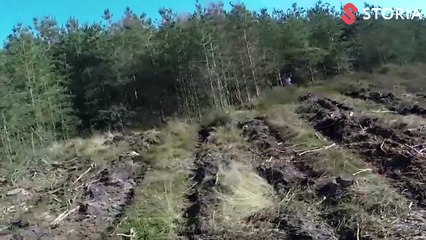 Drone ile çekilmiş en korkunç görüntüler