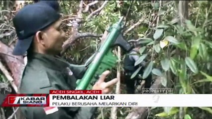 Aksi Seru Kejar-Kejaran Polisi Hutan Dengan Pembalak Liar di Hutan Aceh Singkil