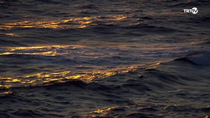 Doga Harikalari 8 bolum Gokceada