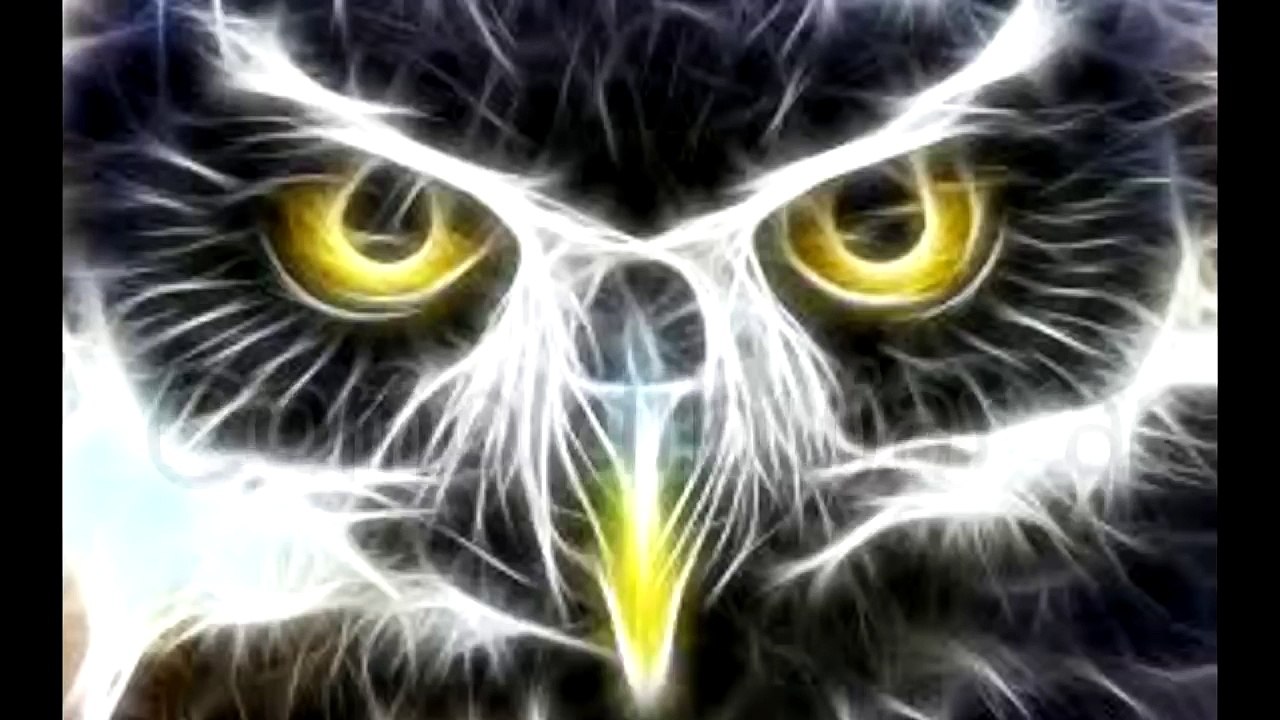 COMO DIBUJAR A OLIVER ATOM A LAPIZ