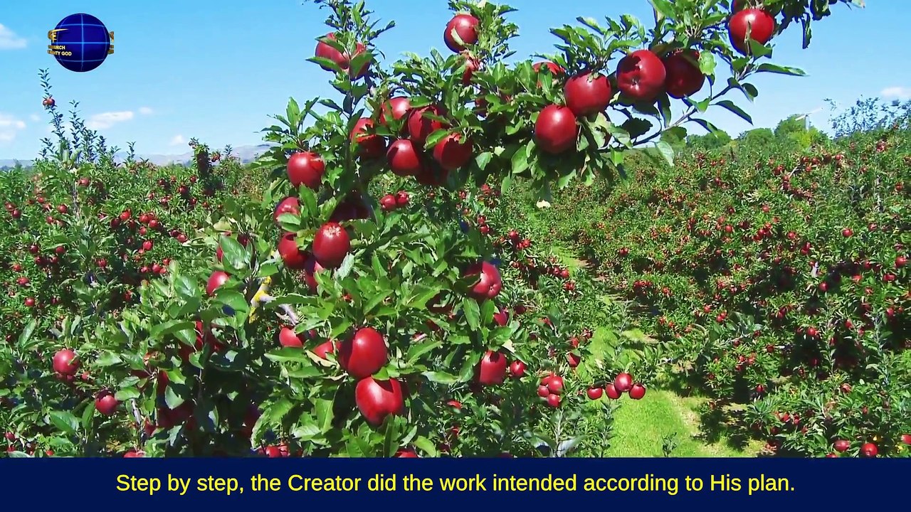 A Hymn of God's Words "All Things Exist Under the Authority of the Creator" | The Church of Almighty God