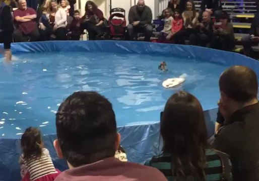 Waterskiing Squirrel Wows the Crowd at Toronto Boat Show