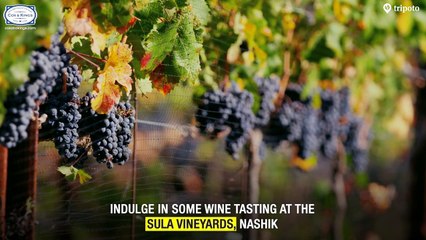 Maharashtra Tour Packages at Cox & Kings India