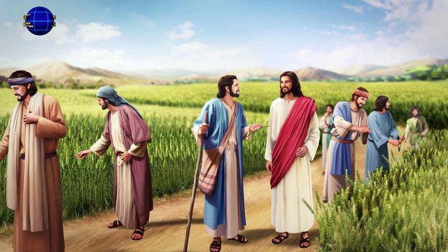 A Hymn of God's Words Only God Incarnate Can Thoroughly Save Mankind | The Church of Almighty God