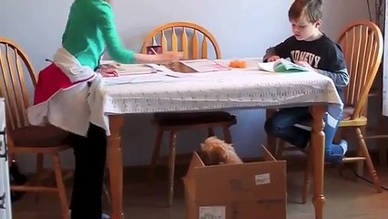 How to express your surprise and disbelief