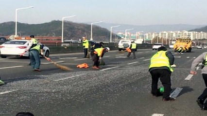 대구 도로에 못 쏟아져...차량 13대 타이어 파손 / YTN