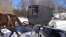 Amish Skiis After Horse And Buggy