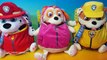 SURPRISES Nickelodeon Paw Patrol Tummy Stuffers Marshall Chase Skye Rubble Kinder eggs Shopkins