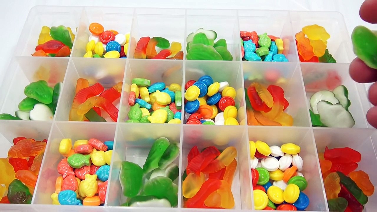 Reel U In Plano Candy Tackle Box - Butchs Secret Admirer!