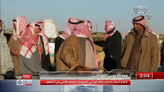 معاناة مربي المواشي بسبب إرتفاع أسعار العلف وقلة المراعي