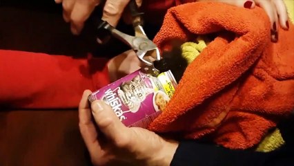 Andenne: Amandine a filmé le sauvetage d'un chat coincé dans une boîte de conserve