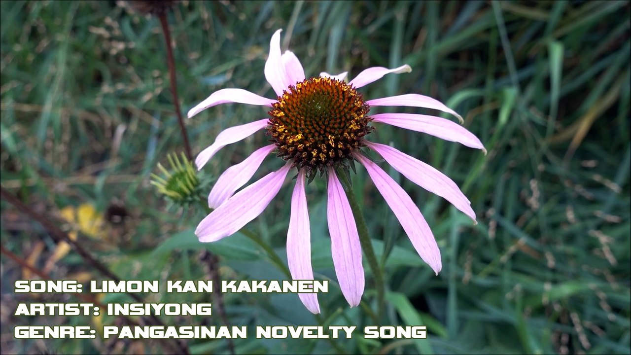 LIMON KAN KAKANEN, Pangasinan Song