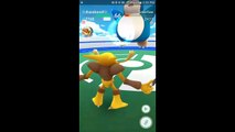 Pokémon GO Gym Battles Generation 2 Pokémon Babies VS Tauros Rare Catches Egg Hatches & more