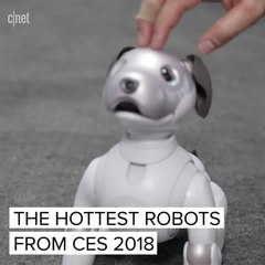 The coolest robots from CES 2018