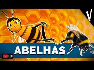 ABELHAS | Biologia