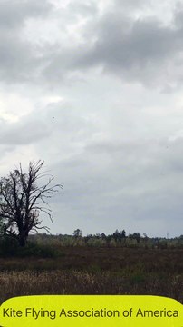 Patang Bazi ( Kight Fighting ) In Canada Keep enjoying and Keep Sharing