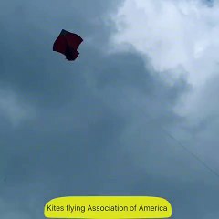 Patang Bazi ( Kight Fighting) Canada