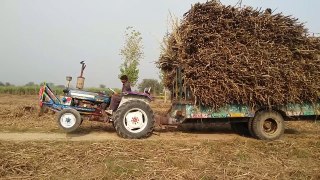 Tractor Stunt Ford 3610 with trolley sugarcan loaded incredible tractor driving skills
