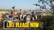 tractor videos,very amazing incident in farm tractor fails withe trolly pulling 3 tractors