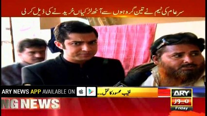 Sar-e-Team's efforts to save girls from slavery