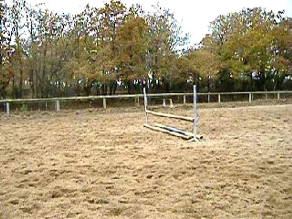 DSCF1849