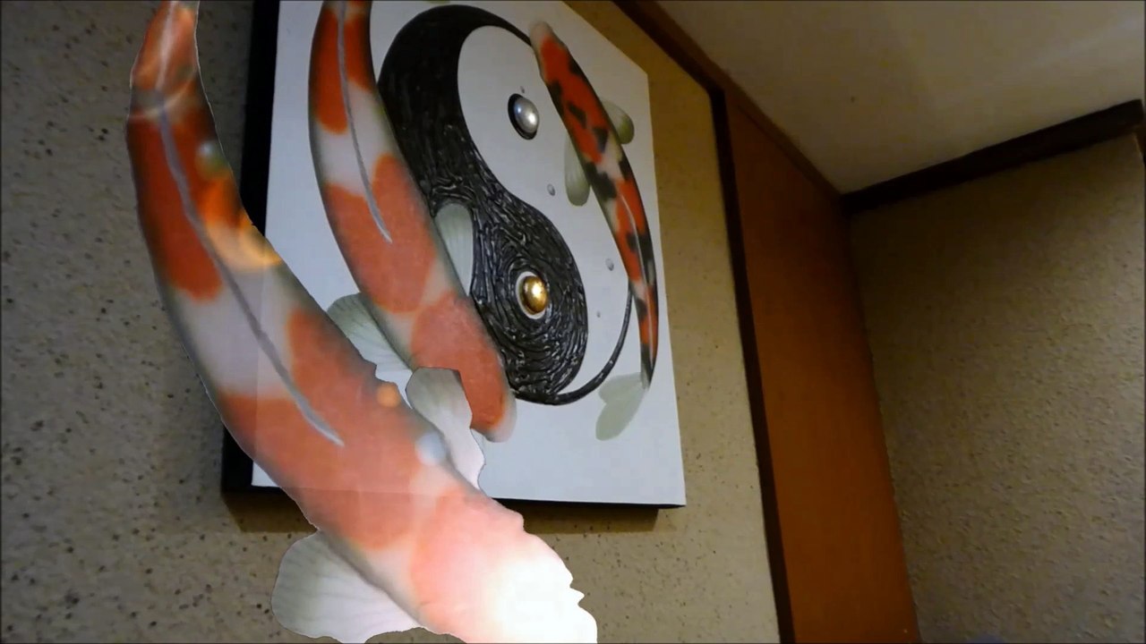 動画編集テクニック,タイ旅行動画の鯉を光る＆回転