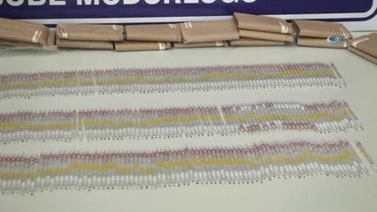 Elazığ'da 17 Milyon Değerinde Kobra Zehri Ele Geçirildi