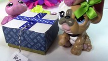 Fan Mail #12 - Mystery Surprise Boxes LPS Littlest Pet Shop Toy Package Opening