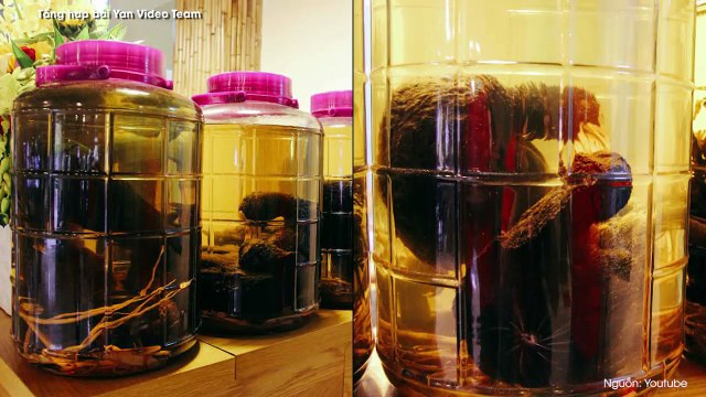 10 loại thức uống kì lạ trên thế giới nhưng người dân địa phương vẫn thích uống