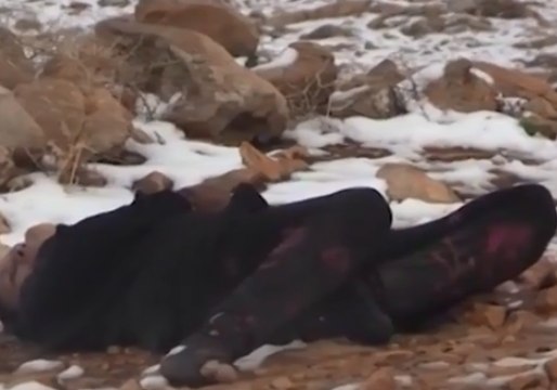 Lebanese Civil Defense Finds Bodies of Syrians Frozen to Death Near Border