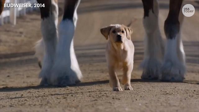 Ad Meter 30th Anniversary Bracket: Region 4