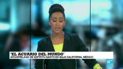 En Estados Unidos, miles de muertes por prescripción de opioides