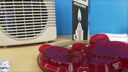 Die Nervensäge Lucky Bär VS Alles und jeden! EXPERIMENTE   Lucky Mamy