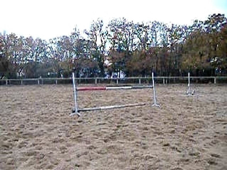 DSCF1852