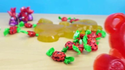 Experimente mit Ahmed dem Bären + Lucky die Nervensäge