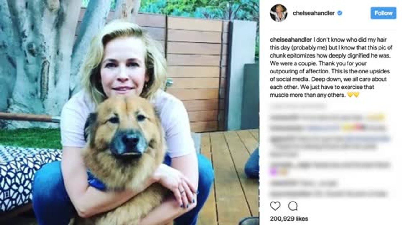 Chelsea Handler Mourns Beloved Dog 'Chunk' - video Dailymotion