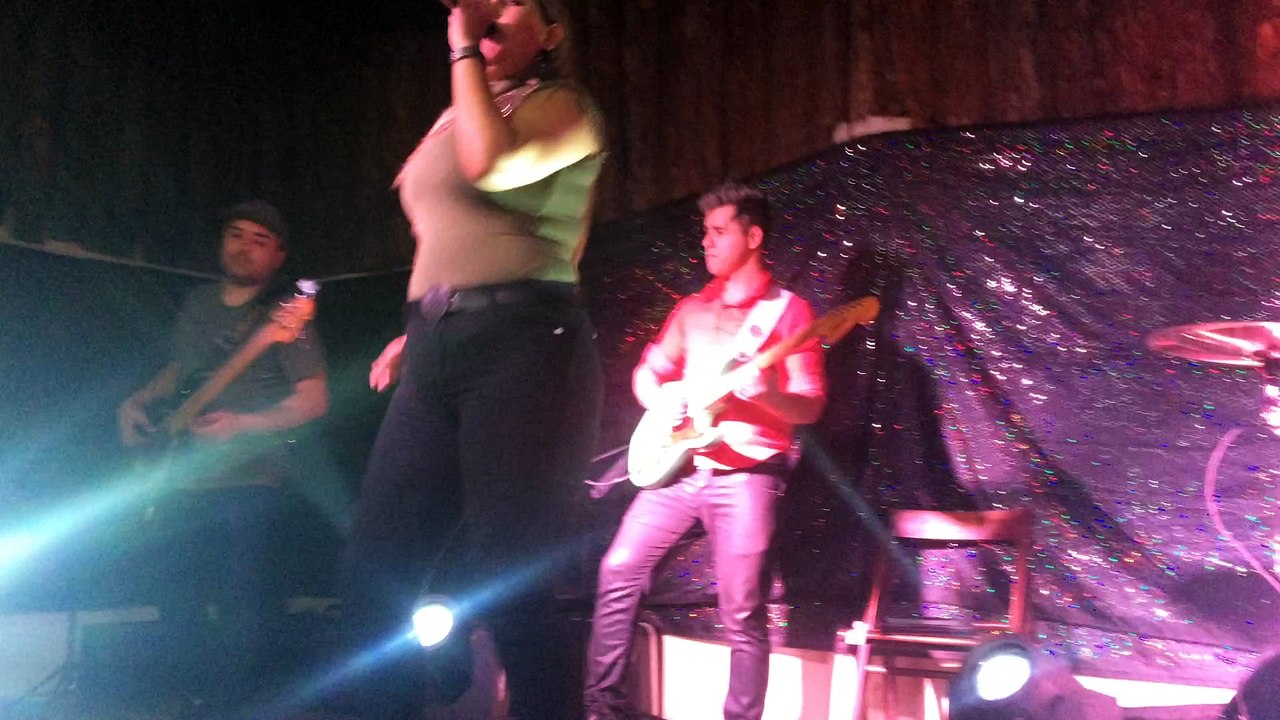 A dama e o vagabundo - Deborah Meirelles