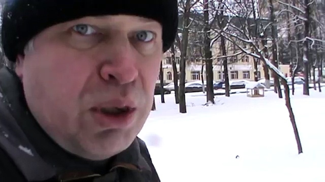 Кормушка для птиц в парке