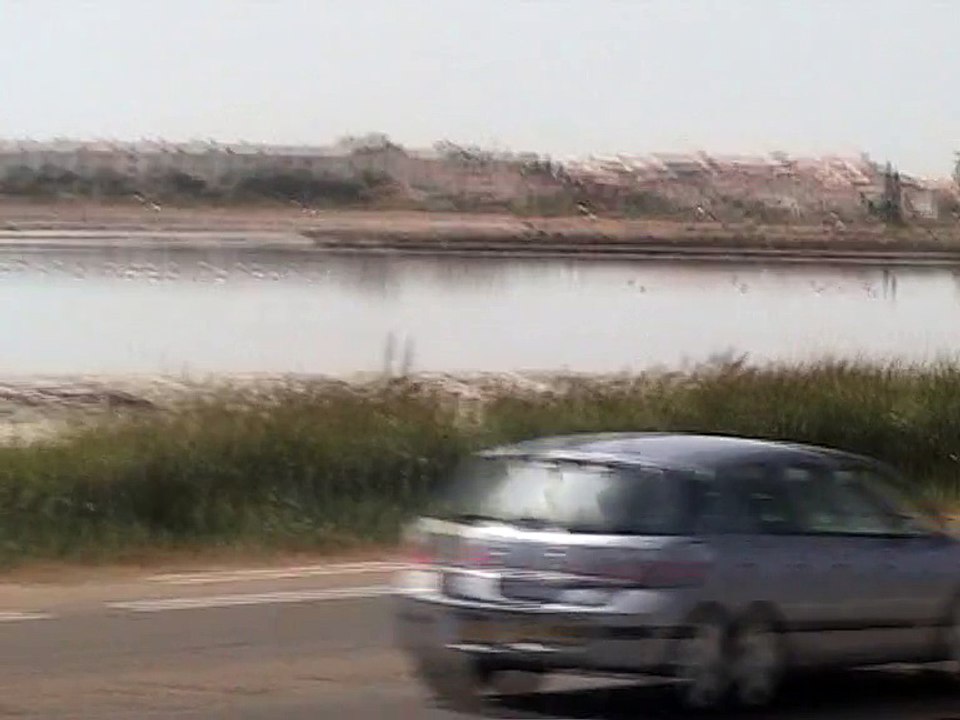 Croisière canaux (9)