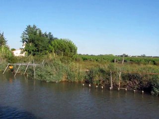 Croisière canaux (1)