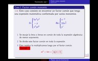 Casos de factorización, caso 1- parte1