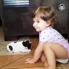 I needed all this cuteness today 