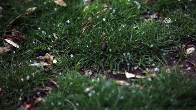Olumsuz hava şartlarına rağmen Mescid-i Aksa’da Cuma namazı - KUDÜS